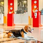 Ibis Douai 3*